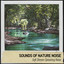 Sounds of Nature Noise: Soft Stream Splashing Noise cover