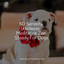 50 Serenity Wellness: Meditation Zen Steady For Dogs cover