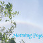 Morning Pops cover