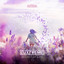 Secret Of Life - Extended Mix