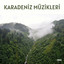 Armudu Budakladım / At Meydandan Yukarı cover