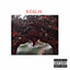Realm cover
