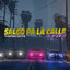 Ganzer DJ — Salgo Pa La Calle (Turreo Elite) cover art