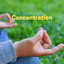 Concentration cover
