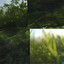 giardino cover