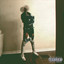 D V S V cover
