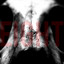 Body in a Suitcase cover