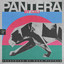 PANTERA