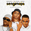 Sengimoja feat. Sai Hle and Sipho Magudulela