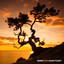 Inner Zen Sanctuary: Increase Clarity of Mind to Recive Hidden Wisdom Japanese Meditation Music cover