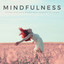 Mindfulness: The Best Selection Of Binaural Music For Meditation Experts cover