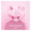 Raop +5 cover