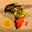 Kaira cover