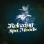Relaxing Spa Moods cover