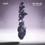 Say You Do feat. Belle Jewel