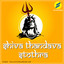 Shiva Thandava Stothra cover