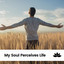 My Soul Perceives Life cover