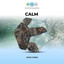 Calm Wave Tones cover