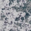 FORM 01