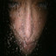 Of Sonic Agnosia