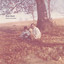 Unknown Title cover
