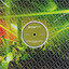 So Much - Extended Mix