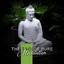 The Tao of Pure Meditation: Awareness, Self-Discovery, Heart Understanding cover