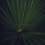 . - Havelock Metal - Summers Over