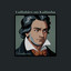 Beethoven : Romance (Kalimba) cover