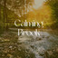 Calming Brook cover