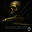 Warhawk artwork