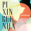 Carinhoso cover