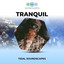 Tranquil Tidal Soundscapes cover