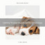 Calming Weather Sounds For Household Dogs cover