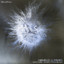 Juncture artwork