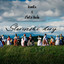 Slovenske devy cover