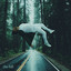 The Fall cover