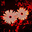 Fungshway J profile