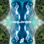 Maldives cover