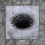 Sixth DImension