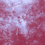 Control cover
