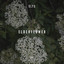 Elderflower artwork