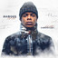 The Clae Chronicles cover