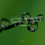 50 Gentle Comforting Rain Sounds for Sleep & Relaxation cover