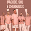 Pagode, Sol e Churrasco cover