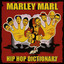 Hip Hop Dictionary cover