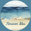 Horizon bleu cover