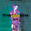 Spokój cover