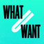 What U Want(Feat. J Paul Getto) - 2017 Refix