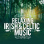 Celtic Ensemble cover